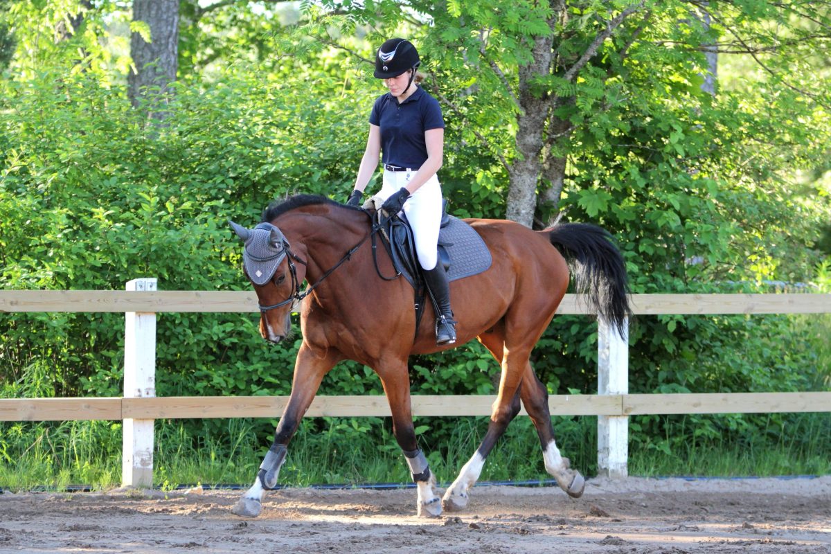 horseback riding