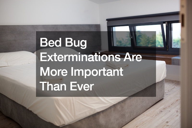 Bed Bug Exterminations Are More Important Than Ever